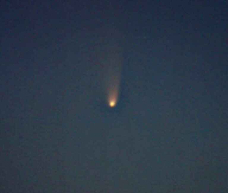 Cometa Panstarrs