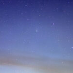 c.2020-f8-swan-24.05.2020