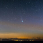 c.2021-a1-leonard-11.12.2021