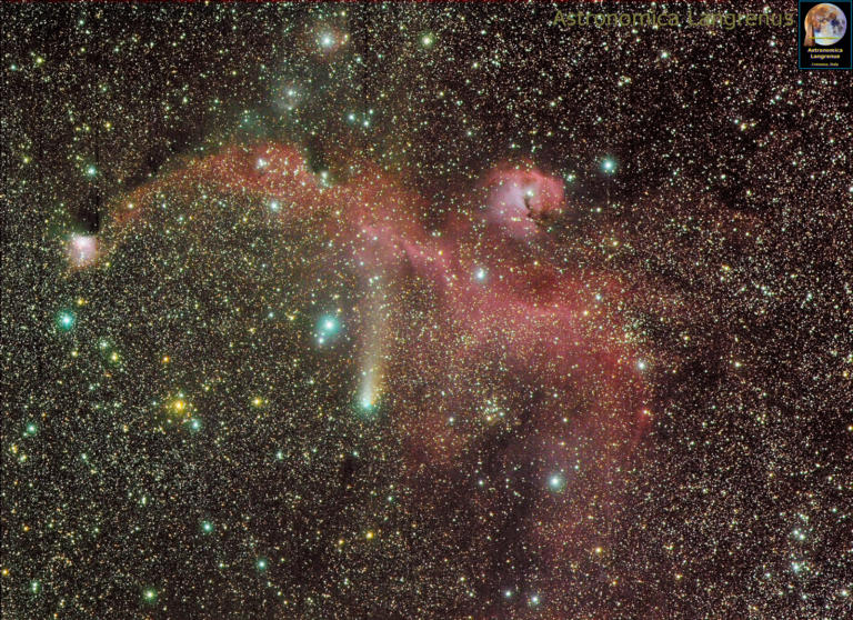 Cometa 21P/Giacobini Zinner e la Nebulosa Gabbiano