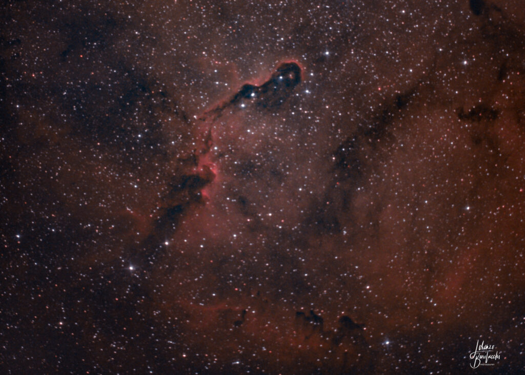 Nebulosa Proboscide di Elefante IC 1396