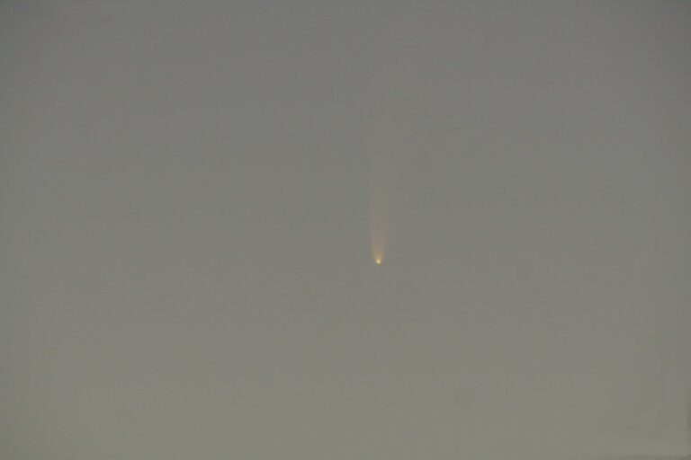 C/2020 F3 (NEOWISE)