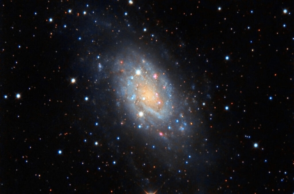 NGC 2403