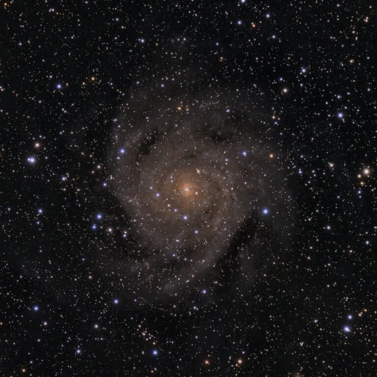IC342