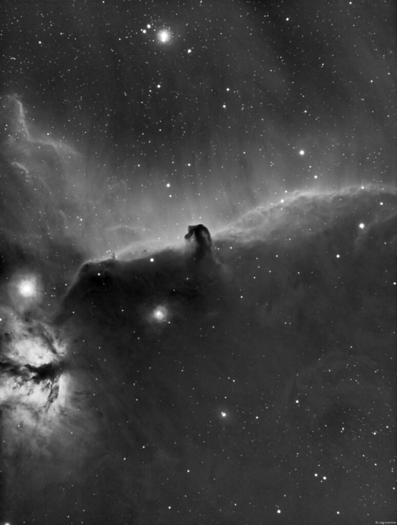 Nebulosa Testa di Cavallo H-Alpha