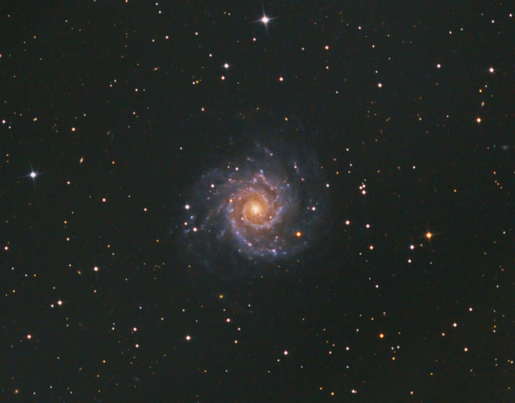 M74