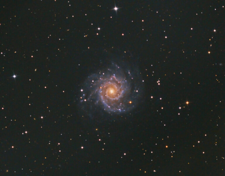 M74