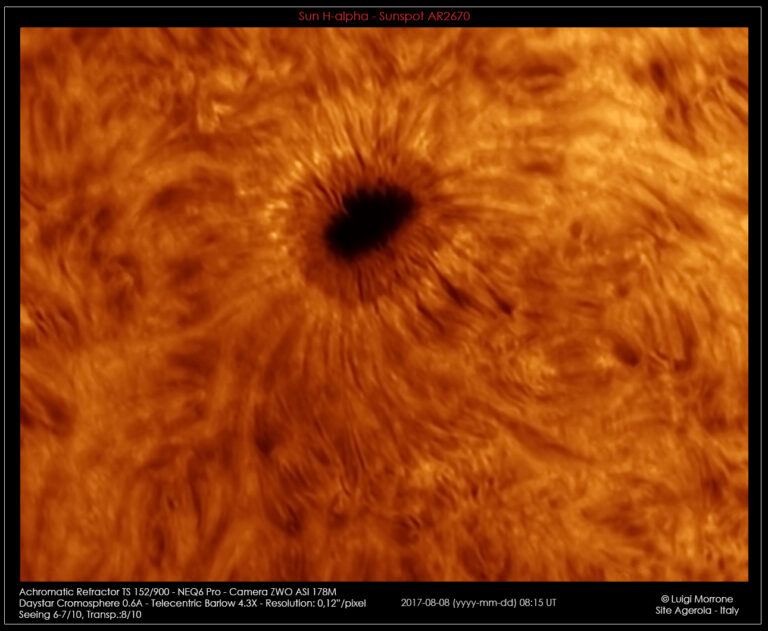 Machia Solare 2670