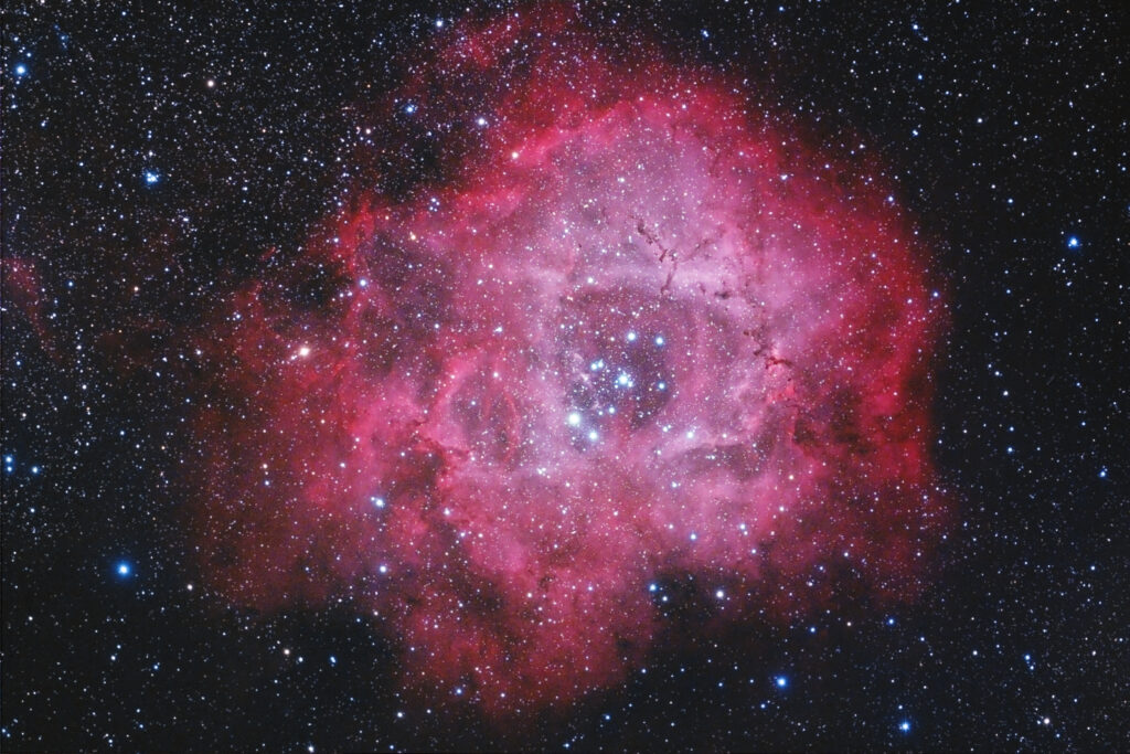 Nebulosa Rosetta (NGC2237)