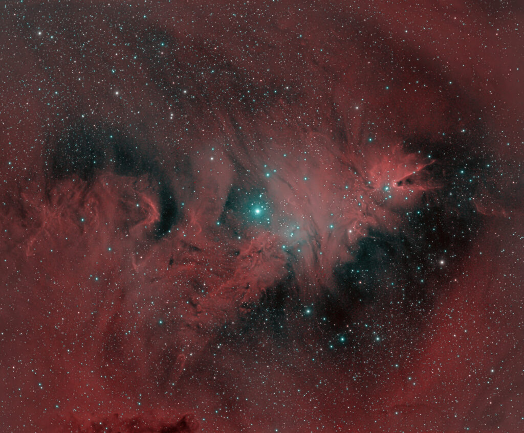 Nebulosa albero di Natale