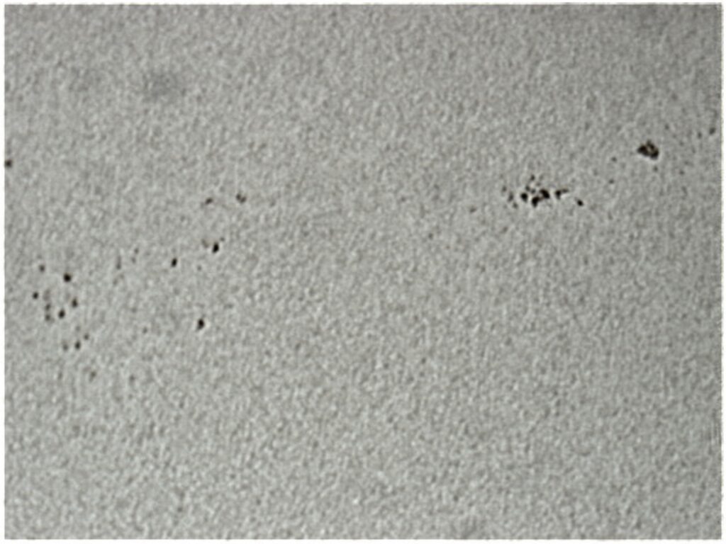 Macchie Solari gruppi 1185-6 con Granulazione