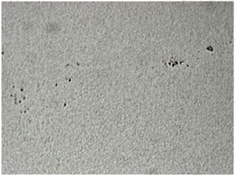 Macchie Solari gruppi 1185-6 con Granulazione
