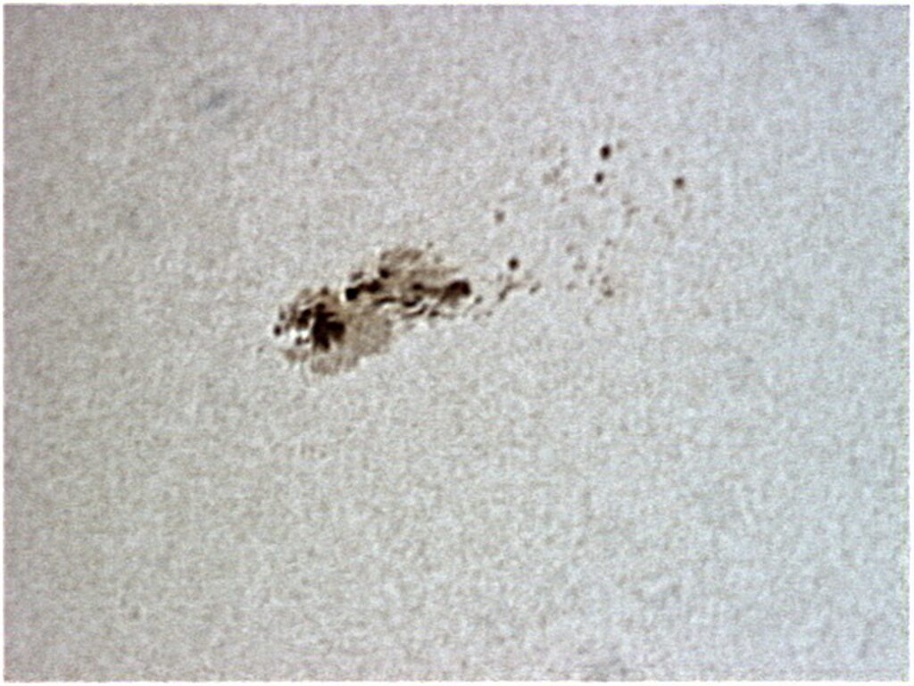 Macchie Solari gruppo 1190