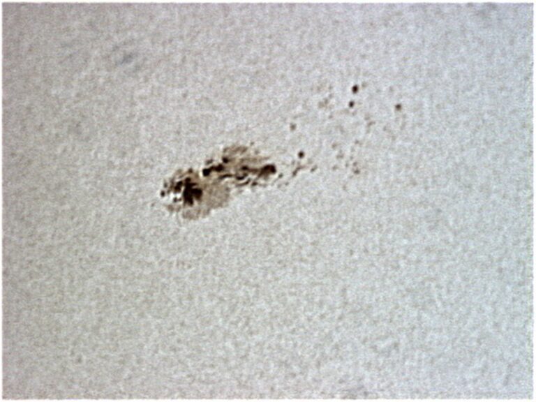 Macchie Solari gruppo 1190