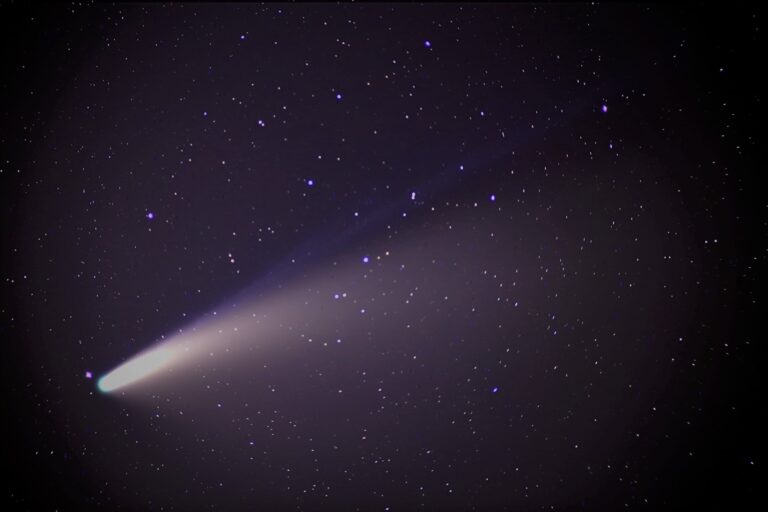 Cometa F3 Neowise