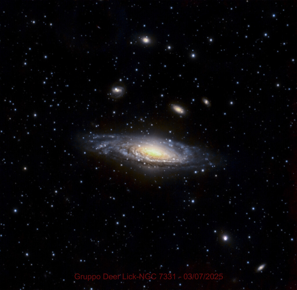 Gruppo Deer Lick-NGC 7331
