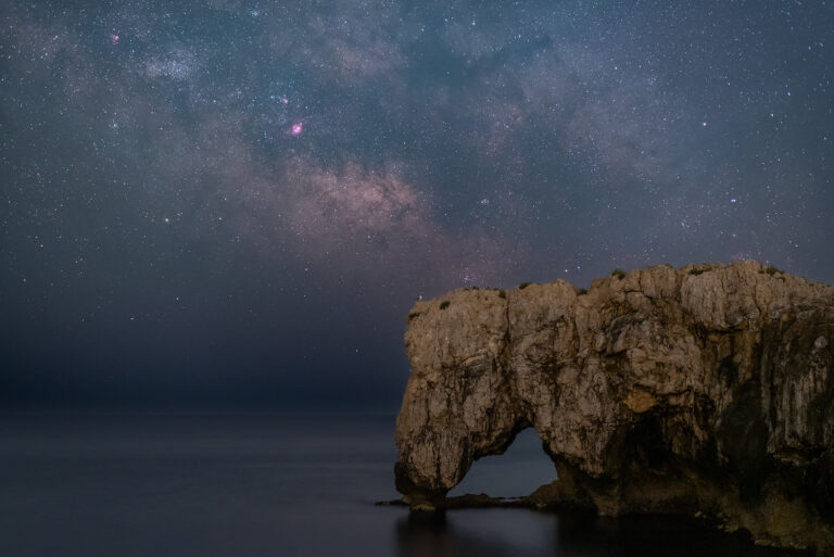 L’elefante ed il gabbiano sotto la via lattea