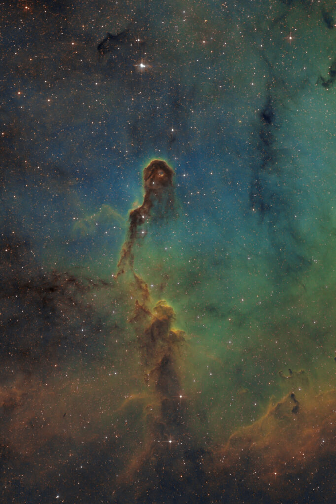 nebulosa proboscide d’elefante
