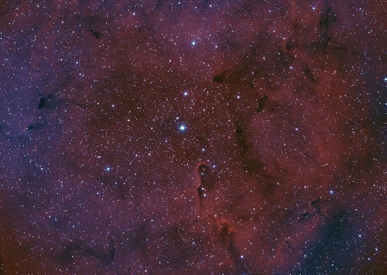 Elephant Trunk Nebula