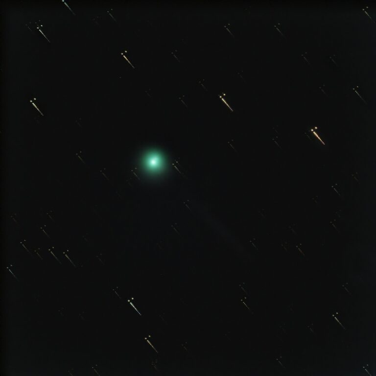 Cometa C/2023 P1 Nishimura con stelle strisciate