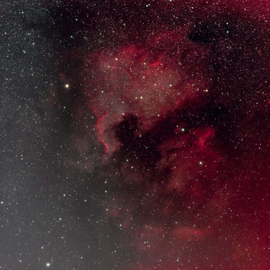 NCG7000/IC5070 – Nebulose Nord America e Pellicano