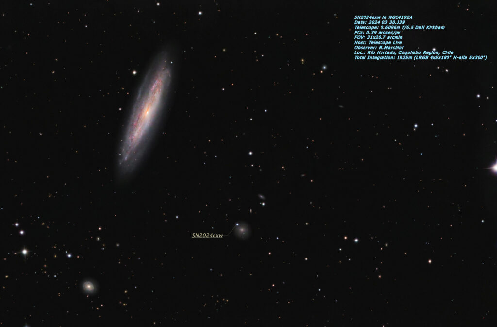 Supernova SN2024exw in NGC4192A