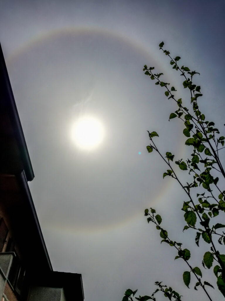 Raggio di luce in giornate tristi