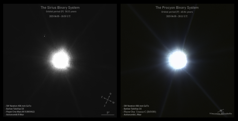 Sirius B and Procyon B
