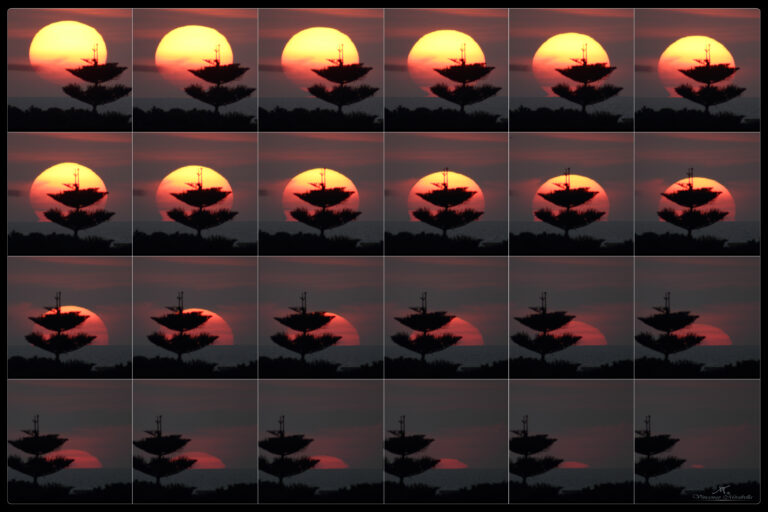 Tramonto del 1 marzo 2021