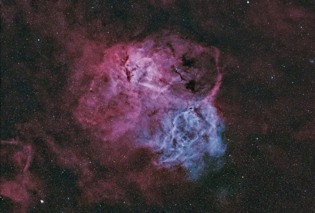 LION NEBULA (SH2-132)
