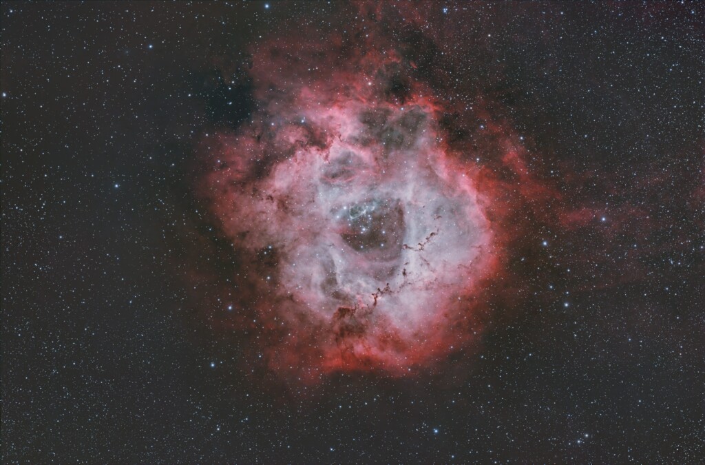 ROSETTA NEBULA