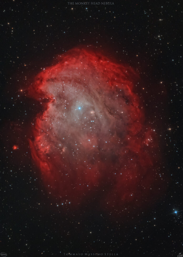 Nebulosa Testa di scimmia