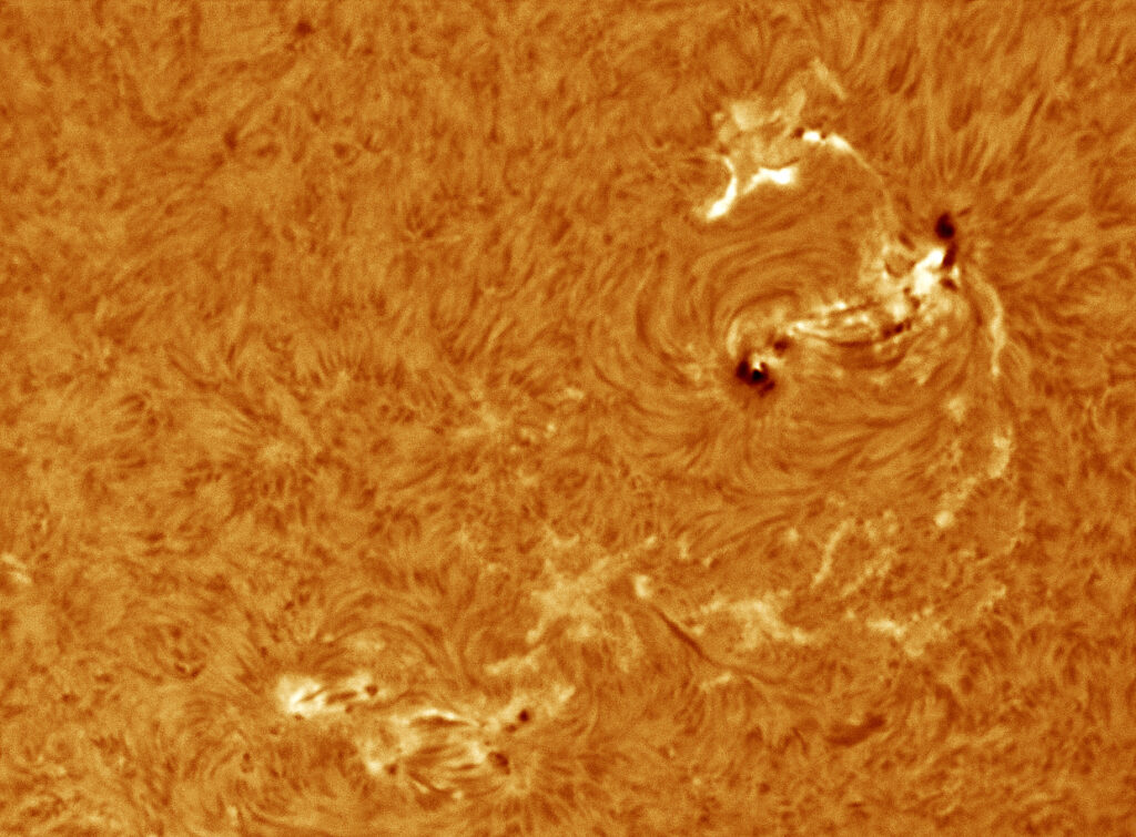 macchie e facole solari