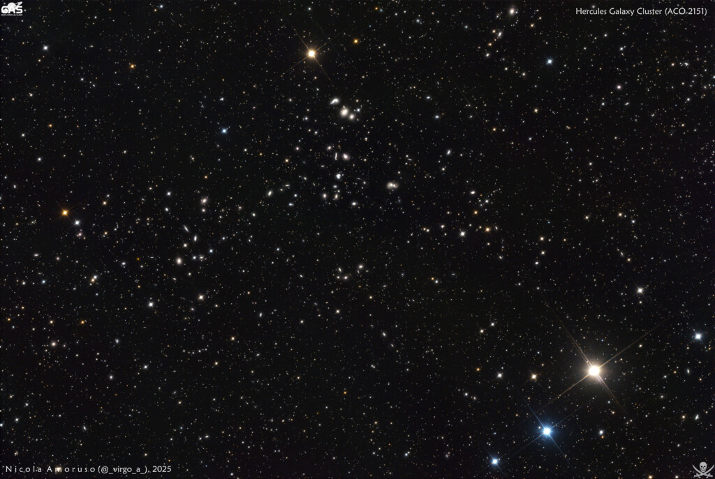 Hercules Galaxy Cluster (ACO 2151)
