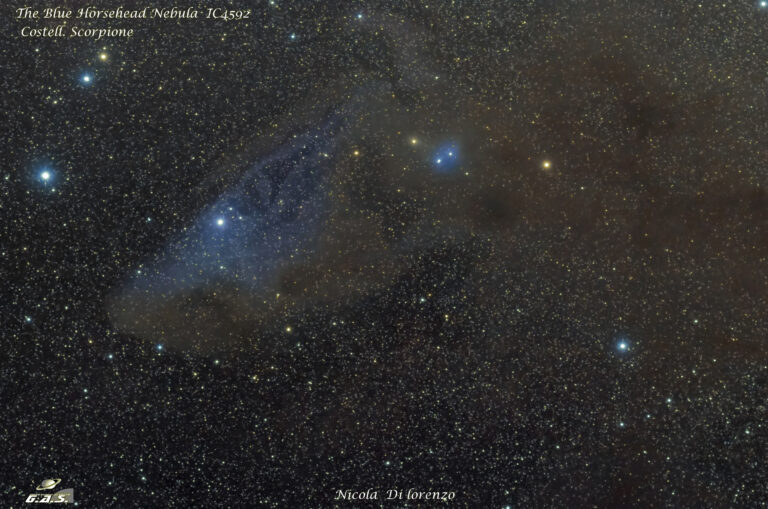 IC4592 The Horsehead Nebula + IC4601 costell. Scorpione