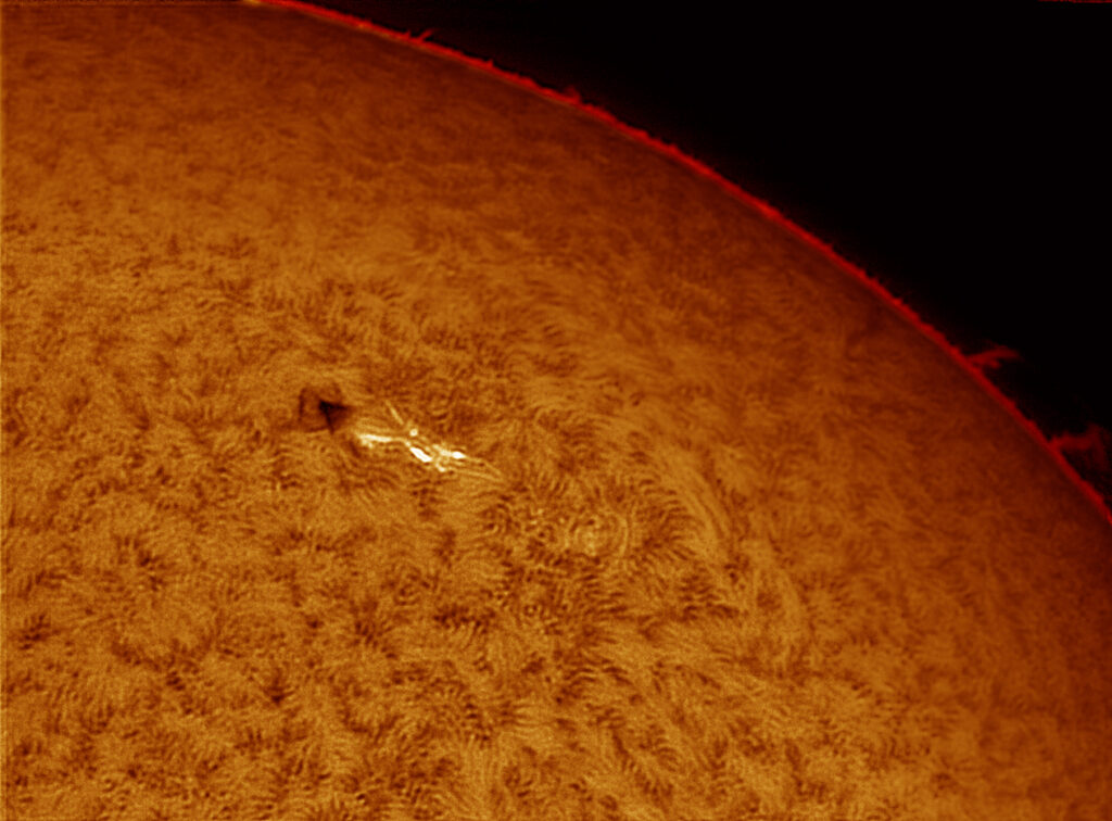 Sole in H-Alpha: fotosfera e protuberanze