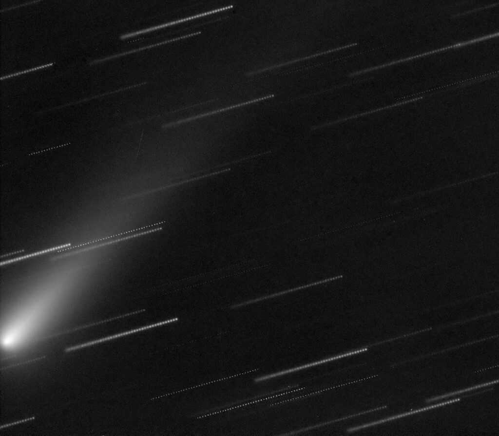 Cometa C/2021 A1 (Leonard)