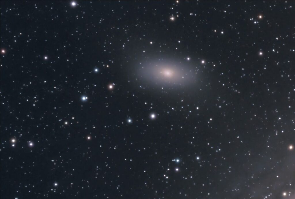 M 31