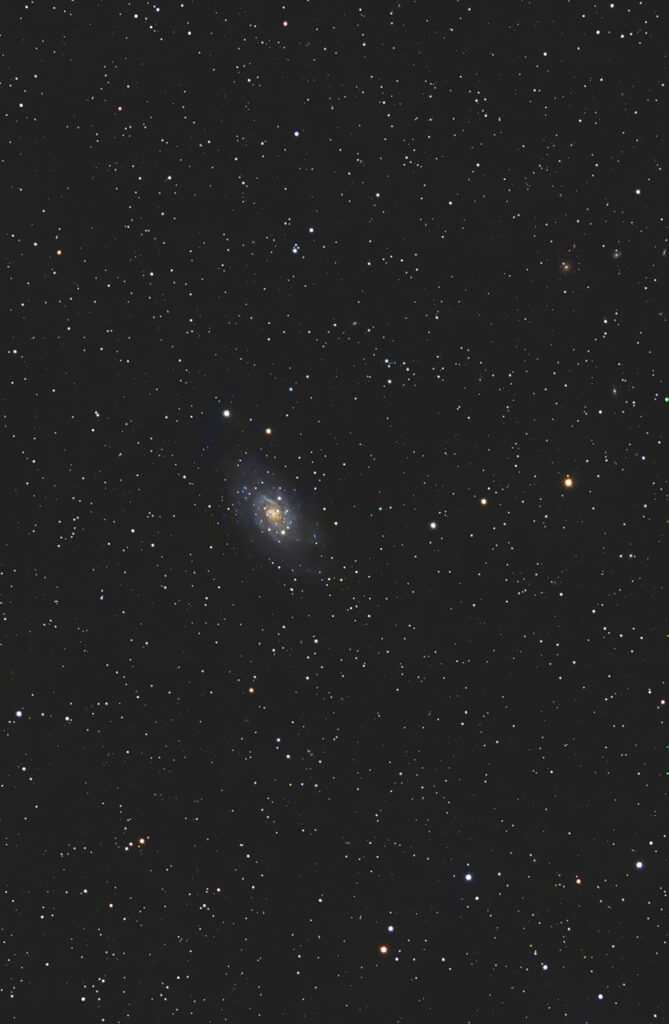 Ngc 2403 in Sella alla Giraffa