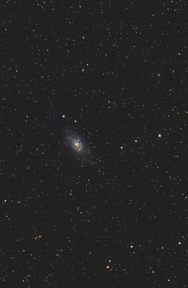Ngc 2403 in Sella alla Giraffa