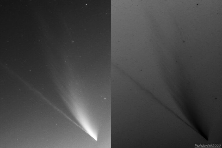 Le bande sincroniche della cometa NEOWISE