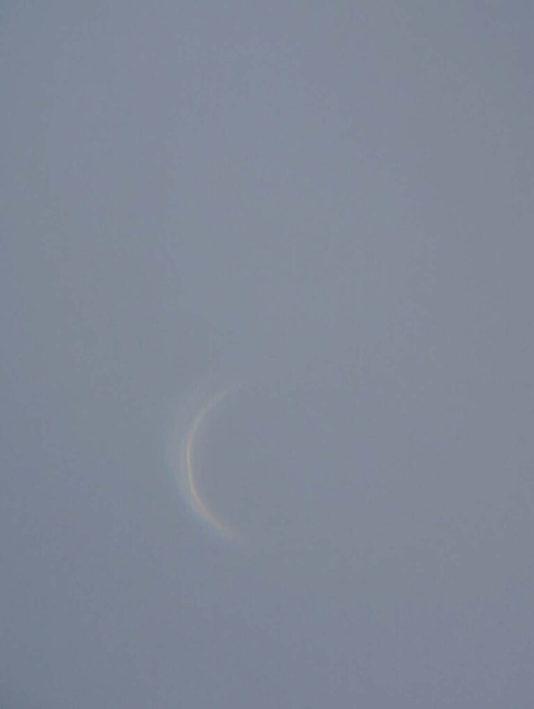 Venere in pieno giorno