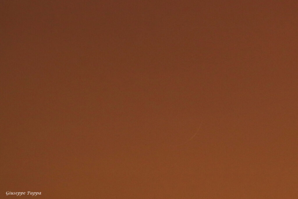 Falcetto luna crescente 1.2%