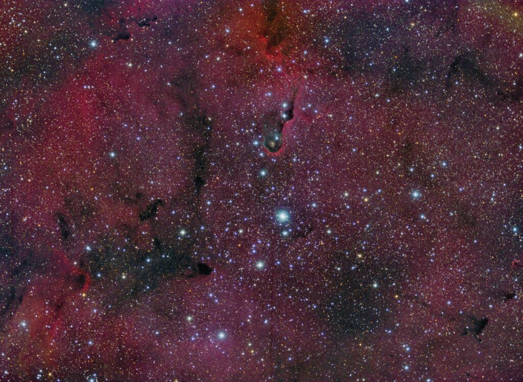 IC 1396: The Elephant’s Trunk Nebula