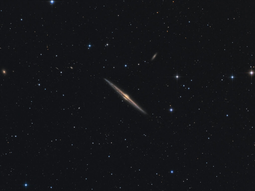NGC 4565