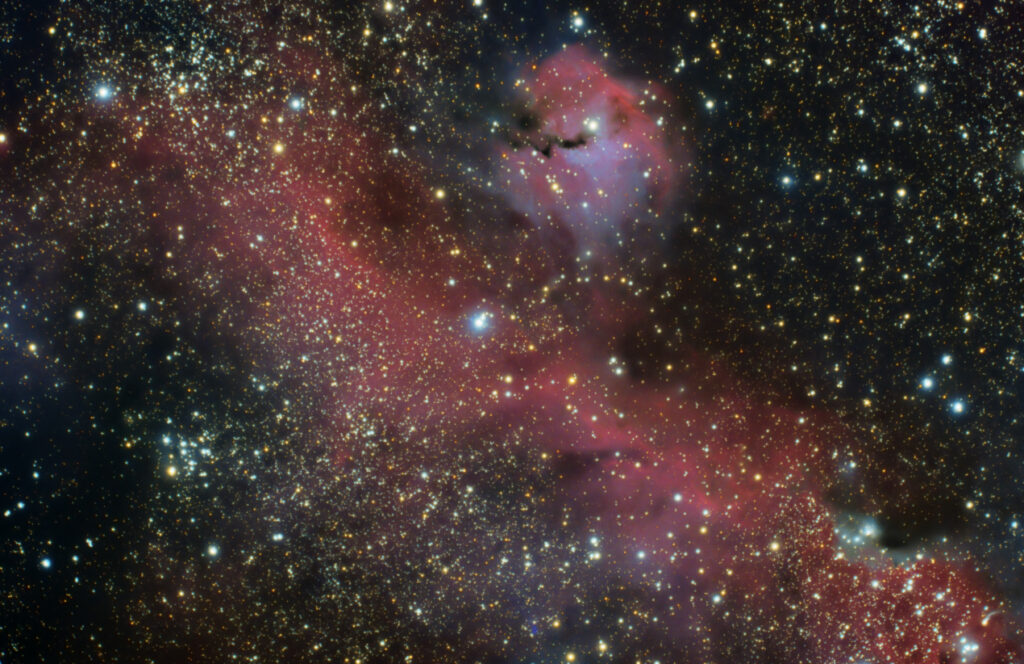 IC 2177 Seagull Nebula