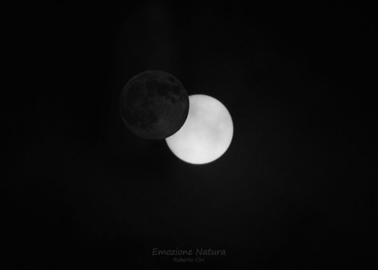 Luna nuova, Sole vecchio