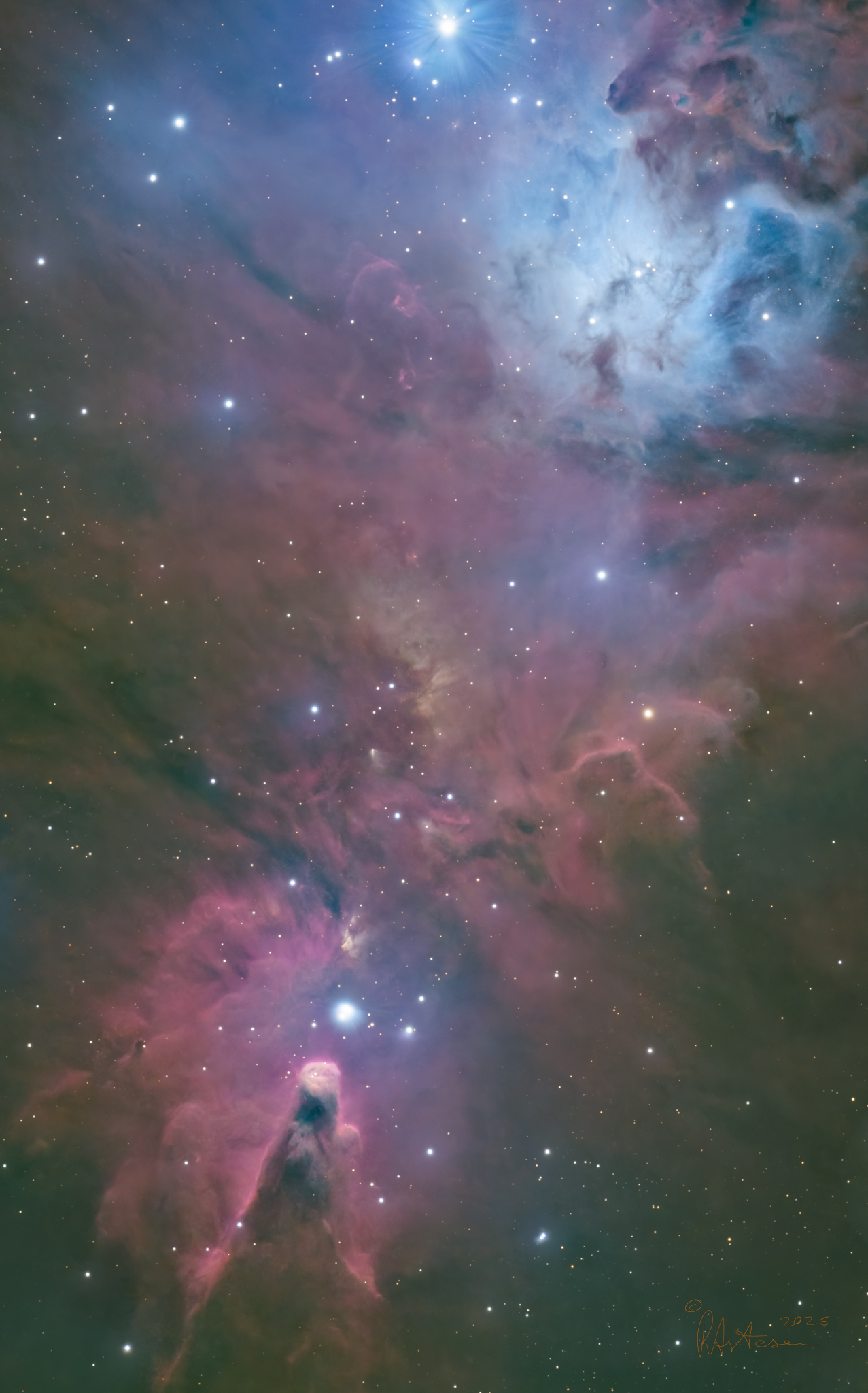 NGC2264 Nebulosa Cono ed area circostante