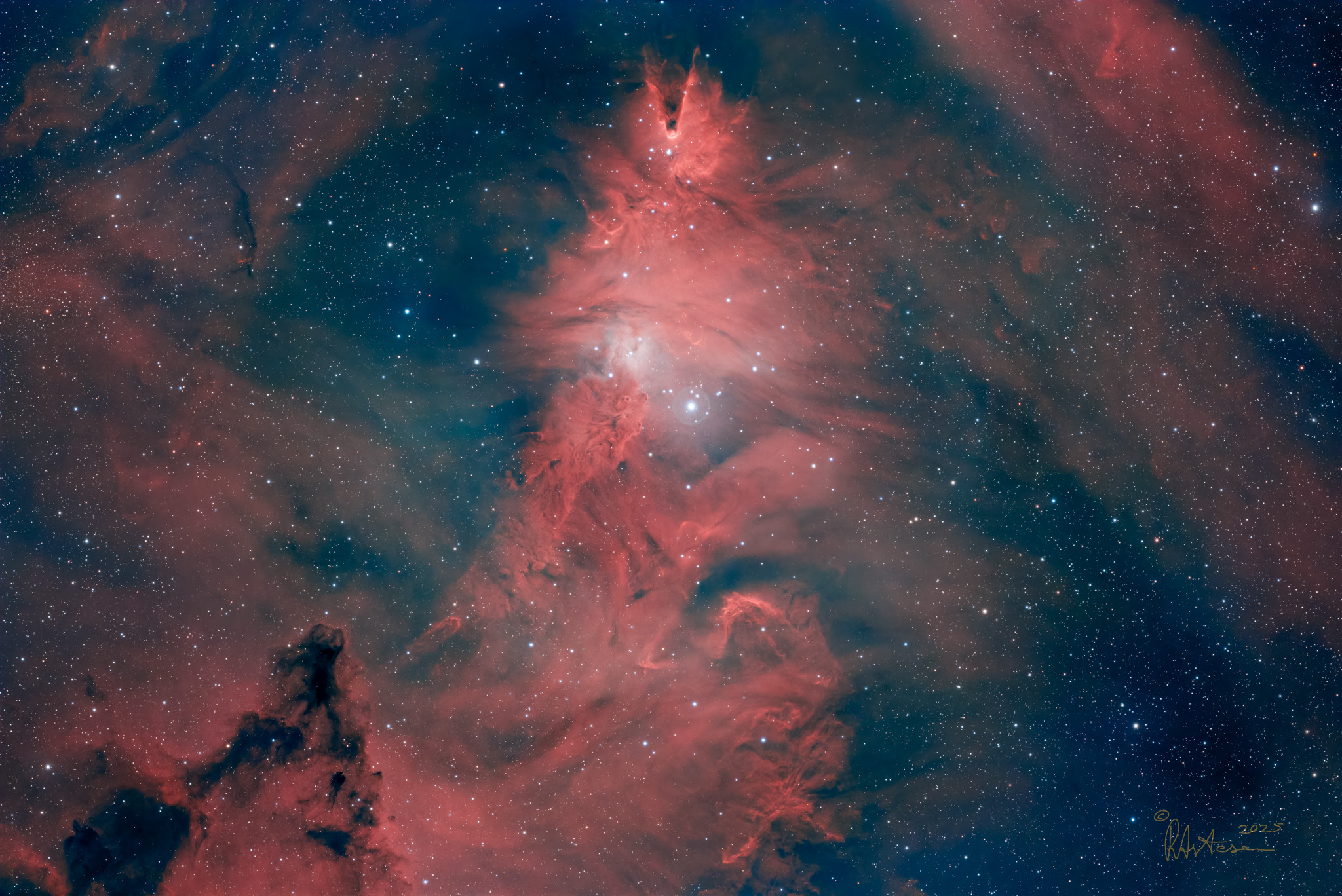 NGC2264 Nebulosa Cono e Ammasso Albero di Natale