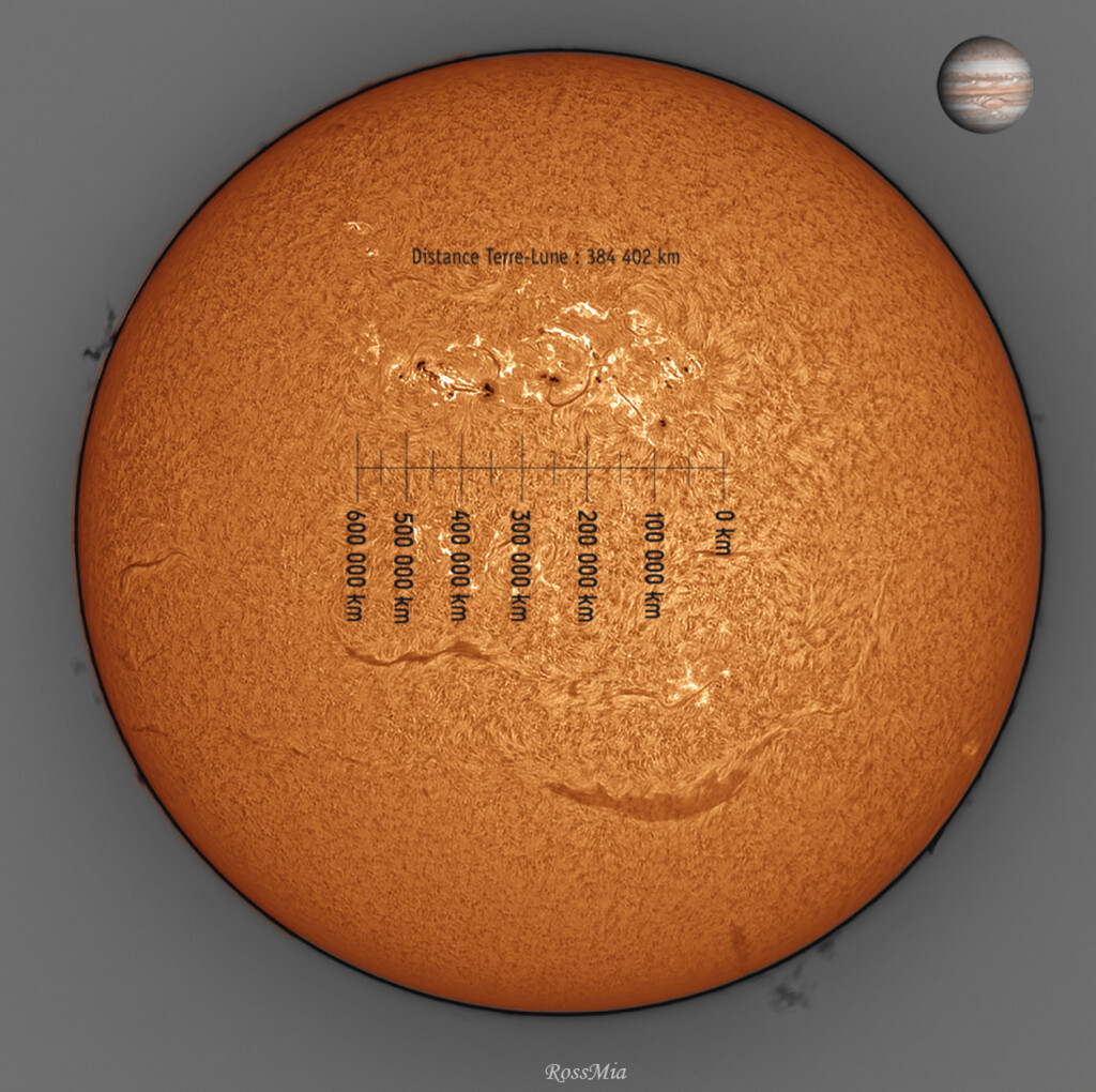 Prendiamo le … distanze!!! Sole del 03/02/2025